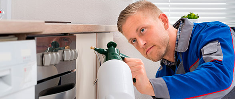 Man with a sprayer in his hand, spraying around the oven in a kitchen
