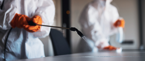 Sanitization Services Knockout Pest Control