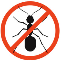 get rid of your ant problem