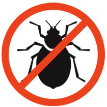 kill bed bugs