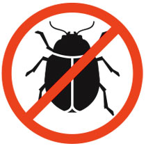 Get rid of Beetles