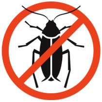 eliminate cockroaches