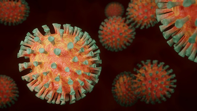 Coronavirus Sanitization