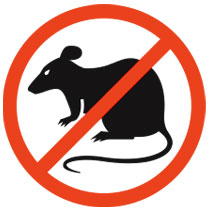 get rid of rodents