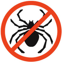 get rid of spiders